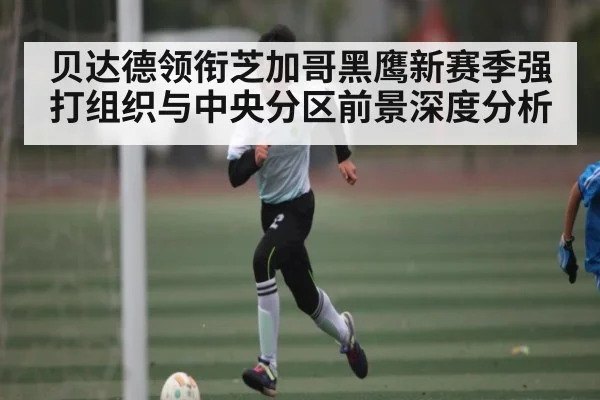 贝达德领衔芝加哥黑鹰新赛季强打组织与中央分区前景深度分析 - kaiyun